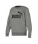 ボーイズ ESS ビッグロゴ クルースウェット 裏起毛 120-160cm ESS Big Logo Crew