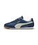 Persian Blue-Warm White-PUMA Gold