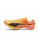 Sun Stream-Sunset Glow-Puma Black