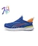 Vivid Blue-Sea Kelp-Orange Glo
