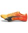 Sun Stream-Sunset Glow-Puma Black