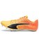 Sun Stream-Sunset Glow-Puma Black