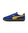 Vivid Blue-Sunny Yellow