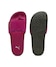 PUMA Pink-PUMA Gold-Gum