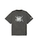 Dusky Gray