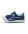 Persian Blue-Aqua-Wild Green