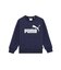ボーイズ ESS ビッグロゴ クルースウェット 裏起毛 120-160cm ESS Big Logo Crew