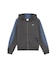 Dusky Gray