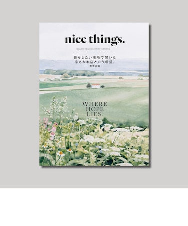 nice things.issue85