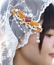 ベイクドアップルクリップ