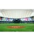 【東京ドーム読売ジャイアンツ公式戦】　９月３０日　Ｂ席１塁側　VS中日