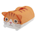 【当商品送料無料】洗濯ネット ねこ 通販 洗濯 ネット 丈夫 おしゃれ かわいい 衣類 収納 トラベルポーチ どうぶつ ランドリーネット 猫 ネコ