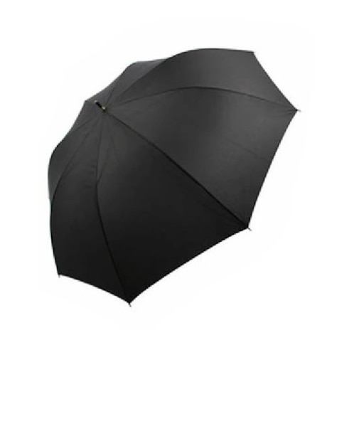 【当商品送料無料】傘 大きい 80cmレディース かさ 定番 アンブレラ ジャンプ 大きい ワンタッチ PROMENADE SKY