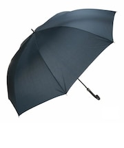 【当商品送料無料】傘 メンズ PROMENADE SKY 定番 スカイプロムナード かさ アンブレラ ジャンプ傘 ジャンプ 大きい ワンタッチ
