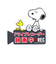【当商品送料無料】ドライブレコーダー ドッグサイン ステッカー 後方 磁石 通販 マグネットサイン ドラレコ マグネット おしゃれ かわいい