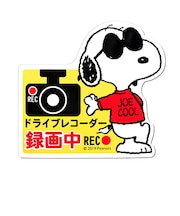 【当商品送料無料】ドライブレコーダー ドッグサイン ステッカー 後方 磁石 通販 マグネットサイン ドラレコ マグネット おしゃれ かわいい