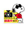 【当商品送料無料】ドライブレコーダー ドッグサイン ステッカー 後方 磁石 通販 マグネットサイン ドラレコ マグネット おしゃれ かわいい
