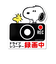 【当商品送料無料】ドライブレコーダー ドッグサイン ステッカー 後方 磁石 通販 マグネットサイン ドラレコ マグネット おしゃれ かわいい