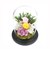 【当商品送料無料】プリザーブドフラワー ガラスドーム 通販 仏花 仏壇用 ブリザードフラワー プリザードフラワー お供え 花 枯れない お盆 彩華