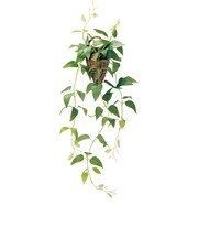 【当商品送料無料】光触媒 観葉植物 通販 フェイクグリーン おしゃれ 壁掛け フェイク 造花 吊り下げ ハンギング フック 壁 消臭 抗菌 防カビ