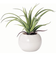 【当商品送料無料】光触媒 観葉植物 通販 フェイクグリーン ミニ インテリアグリーン リアル 小さめ おしゃれ 小さい 枯れない 造花 コンパクト