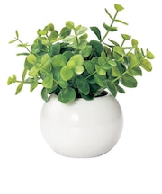 【当商品送料無料】光触媒 観葉植物 通販 フェイクグリーン ミニ インテリアグリーン リアル 小さめ おしゃれ 小さい 枯れない 造花 コンパクト