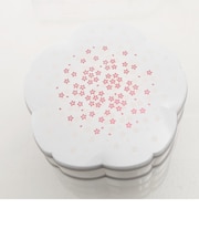 【当商品送料無料】重箱 初桜 hatsuzakura 桜 2段 お弁当箱 おしゃれ 通販 仕切り かわいい お重 行楽 弁当箱 ランチボックス