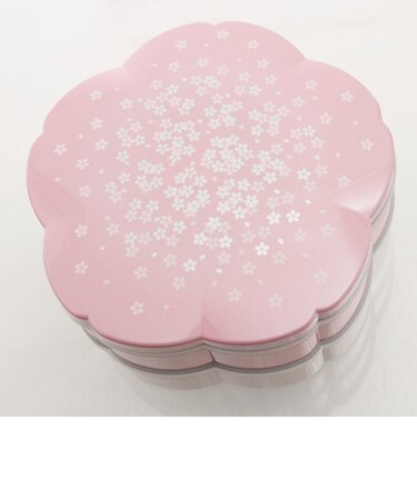 【当商品送料無料】重箱 初桜 hatsuzakura 桜 2段 お弁当箱 おしゃれ 通販 仕切り かわいい お重 行楽 弁当箱 ランチボックス