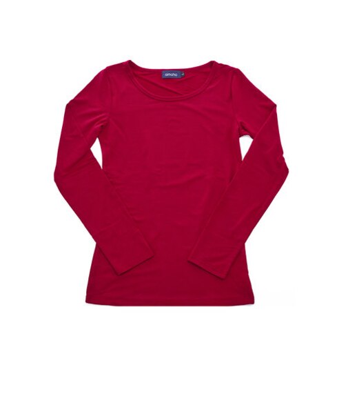 【当商品送料無料】裏起毛 カットソー 大きいサイズ レディース 通販 あったか 暖か 暖かい インナー トップス タートルネック クルーネック