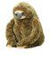 ナマケモノ