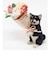 【当商品送料無料】花 ギフト 通販 ブーケ 造花 ct触媒 エアクリーナー 抗菌 消臭 空気清浄 ミニョン フラワーギフト インテリア 置物 雑貨