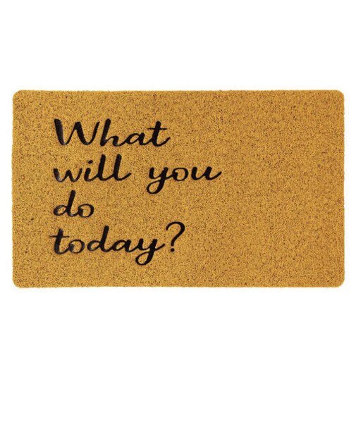 【当商品送料無料】玄関マット 屋外 おしゃれ 通販 室内 屋内 泥落とし 洗える 屋外用 シンプル かわいい 敷物 丸洗い 水洗い pvcマット