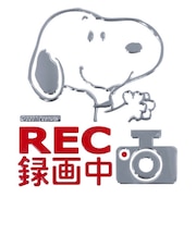 【当商品送料無料】ドライブレコーダー ステッカー 通販 おしゃれ キャラクター かわいい 車 用 かっこいい スヌーピー グッズ ドラレコ シール