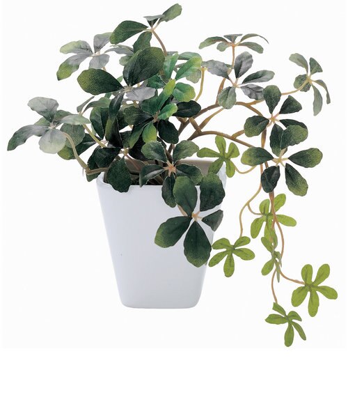 当商品送料無料】光触媒 フェイクグリーン 通販 壁掛け イミテーション