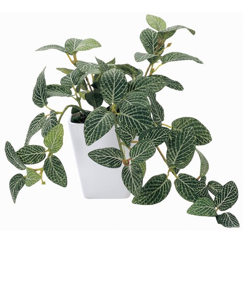 当商品送料無料】光触媒 フェイクグリーン 通販 壁掛け イミテーション