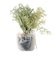 【当商品送料無料】フェイクグリーン ミニ 通販 造花 観葉植物 イミテーショングリーン インテリアグリーン サキュレント バーチャルグリーン 卓上