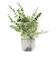 【当商品送料無料】フェイクグリーン ミニ 通販 造花 観葉植物 イミテーショングリーン インテリアグリーン サキュレント バーチャルグリーン 卓上
