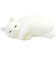 しろぷにねこ