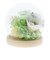 【当商品送料無料】お供え プリザーブドフラワー ガラスドーム 通販 四季 暦  供養 仏花 供え花 献花 ドームタイプ ドーム プリザ 長持ち 飾り
