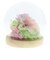 【当商品送料無料】お供え プリザーブドフラワー ガラスドーム 通販 四季 暦  供養 仏花 供え花 献花 ドームタイプ ドーム プリザ 長持ち 飾り