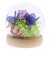 【当商品送料無料】お供え プリザーブドフラワー ガラスドーム 通販 四季 暦  供養 仏花 供え花 献花 ドームタイプ ドーム プリザ 長持ち 飾り
