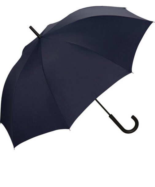 【当商品送料無料】wpc 傘 通販 長傘 雨傘 ジャンプ傘 メンズ レディース 晴雨兼用 uvカット 65cm 日傘 大きい WIND