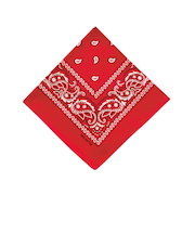 【当商品送料無料】バンダナ 通販 スカーフ 柄 BANDANNA マスク ハンカチ ターバン 帽子 おしゃれ 定番 ディスプレイ アクセサリー