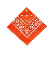 【当商品送料無料】バンダナ 通販 スカーフ 柄 BANDANNA マスク ハンカチ ターバン 帽子 おしゃれ 定番 ディスプレイ アクセサリー