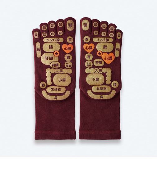 【当商品送料無料】足つぼ 靴下 通販 TSUBOレシピ 足つぼソックス メンズ レディース ソックス くつ下 靴した 5本指 婦人靴下 紳士靴下