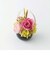 【当商品送料無料】Temari てまり フラワーアレンジメント 通販 プリザーブドフラワー プリザードフラワー 枯れない花 花 お花 アレンジメント