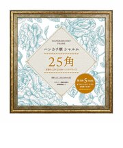 【当商品送料無料】フレーム 正方形 通販 ハンカチ額 25角 額 シャルム 250 x 250mm 額縁 25cm 真四角 額装 ディスプレイ