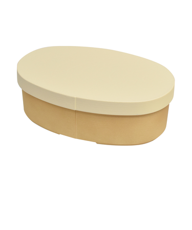 【当商品送料無料】抗菌弁当箱 通販 弁当箱 1段 お弁当箱 一段 ランチボックス 475ml やさしい彩り 小判弁当箱 レンジ対応 電子レンジ