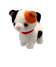 ミケネコ