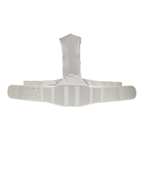 【当商品送料無料】骨盤固定 背筋矯正 Sラインベルト 通販 背筋 矯正 ベルト 背骨 猫背 サポーター 姿勢 猫背 骨盤 黒 白